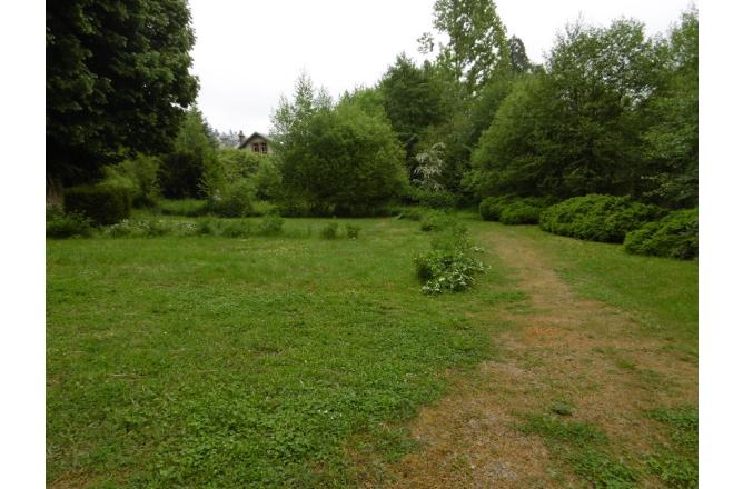 UN COIN DE VERDURE AU COEUR DE LA VILLE - B