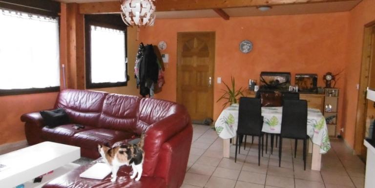 APPARTEMENT LOCATIF ET PLATEAU A EXPLOITER