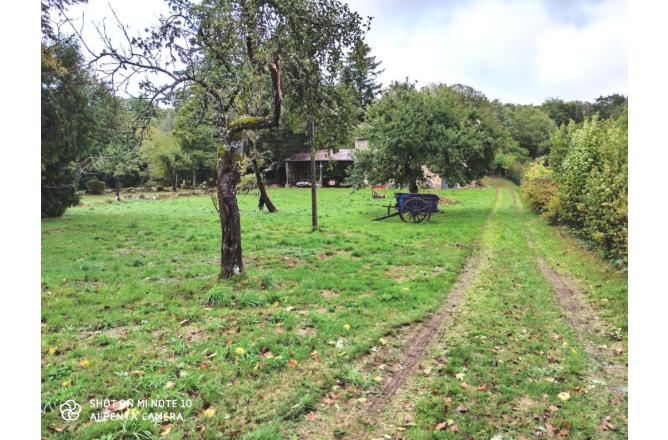 Maison 5 chambres sur parc de 6500 m2 proche Vassivière - B