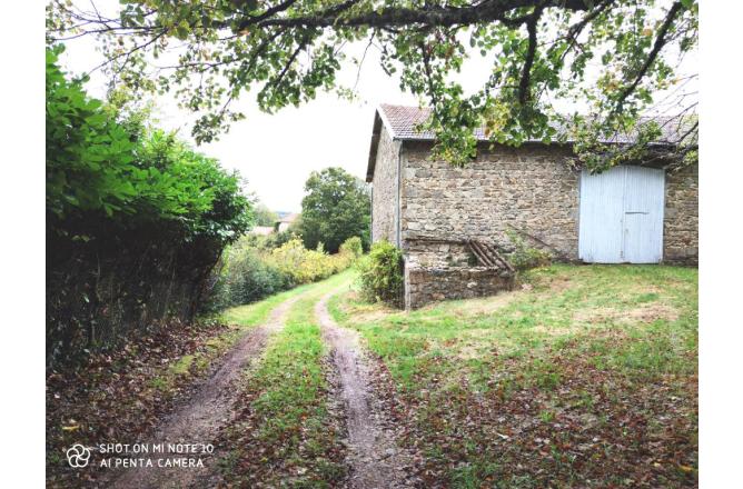 Maison 5 chambres sur parc de 6500 m2 proche Vassivière - C