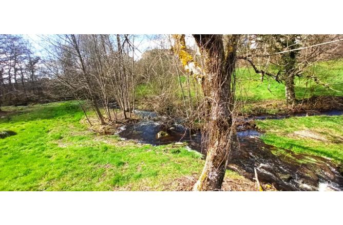 ANCIEN MOULIN AVEC ACCES PRIVE SUR UN HECTARE DE TERRAIN - B