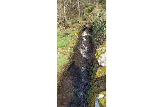 ANCIEN MOULIN AVEC ACCES PRIVE SUR UN HECTARE DE TERRAIN - H