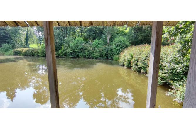 Ancien Moulin rénové avec plan d'eau et dépendances sur 1ha 80 a - J