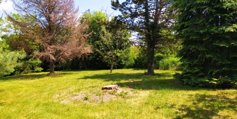 Fermette dans son parc arboré - C