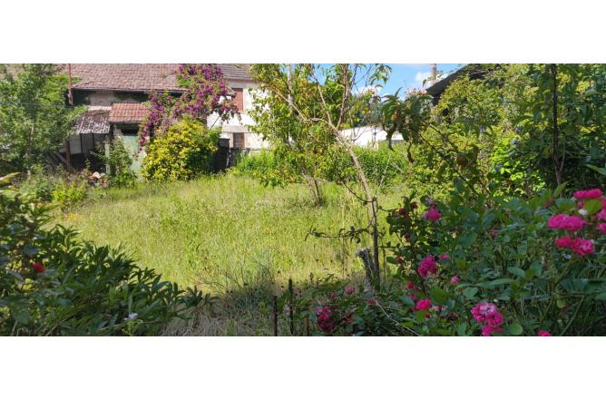 Maison de 7 chambres, avec garage et jardin - B