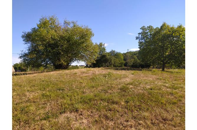 SECTEUR SUD EST AUBUSSON MAISON EN PIERRE AVEC GRAND TERRAIN - D