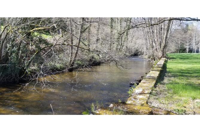 Propriété sur 1hectare 50, Maison de Maître et trois maisons secondaires - B