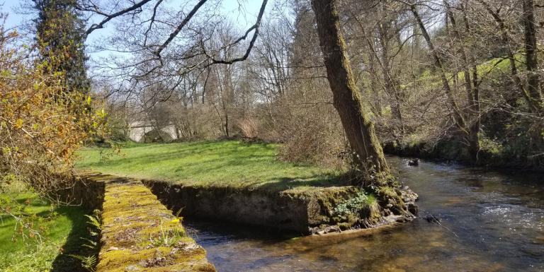 Propriété sur 1hectare 50, Maison de Maître et trois maisons secondaires - F