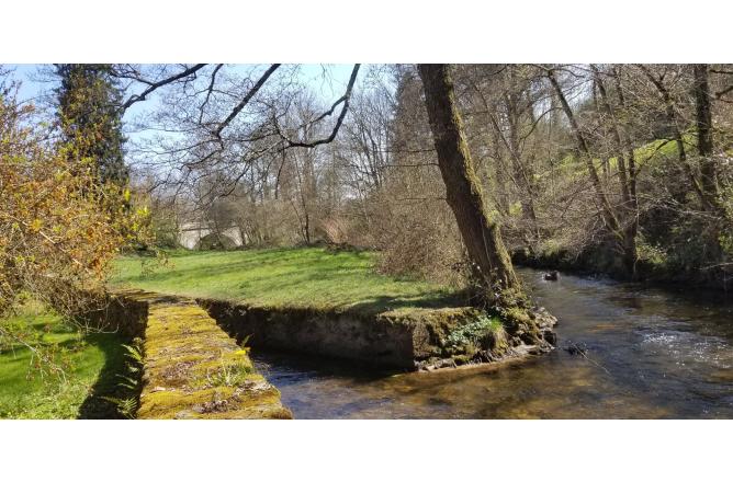 Propriété sur 1hectare 50, Maison de Maître et trois maisons secondaires - H