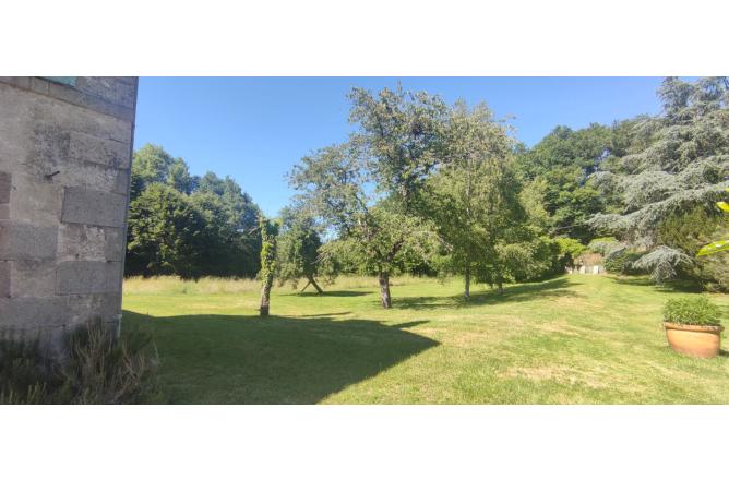 Propriété sur 1hectare 50, Maison de Maître et trois maisons secondaires - P