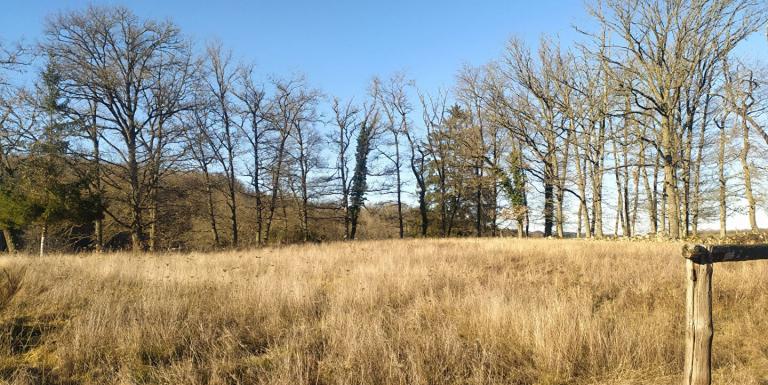 MAISON DANS UN PETIT BOURG AVEC TERRAIN ATTENANT - D