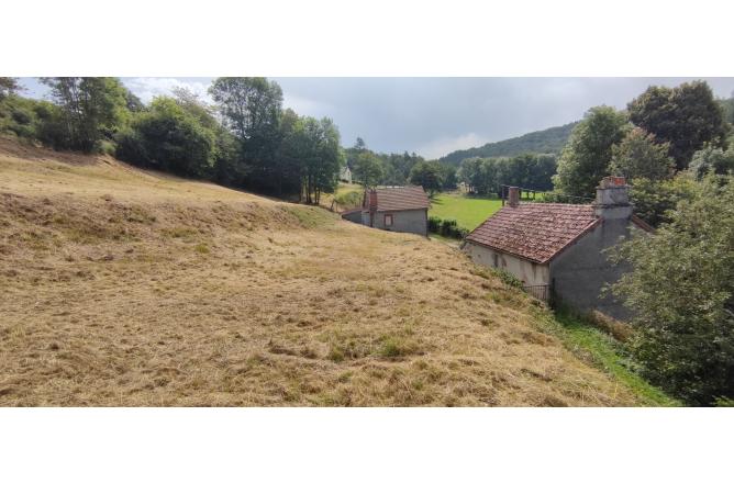 Ensemble de 2 maisons à rénover, dépendances et jardins - F