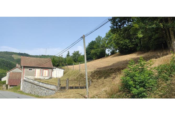 Ensemble de 2 maisons à rénover, dépendances et jardins - I