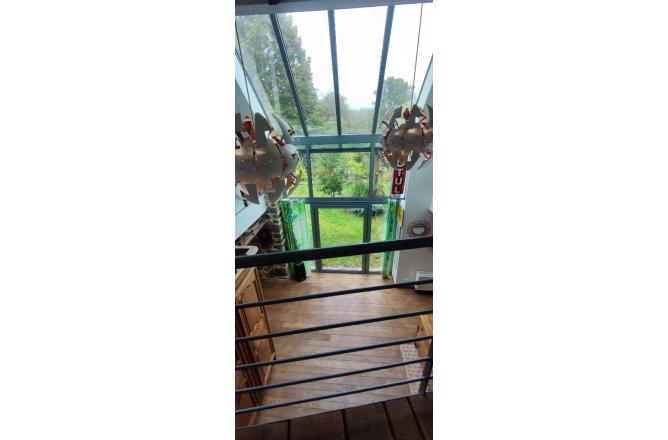 PROPRIETE SUR 3 HECTARES, BELLE RENOVATION - D