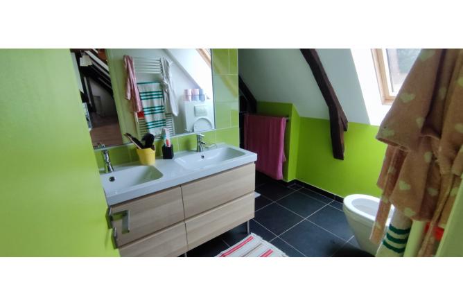PROPRIETE SUR 3 HECTARES, BELLE RENOVATION - F
