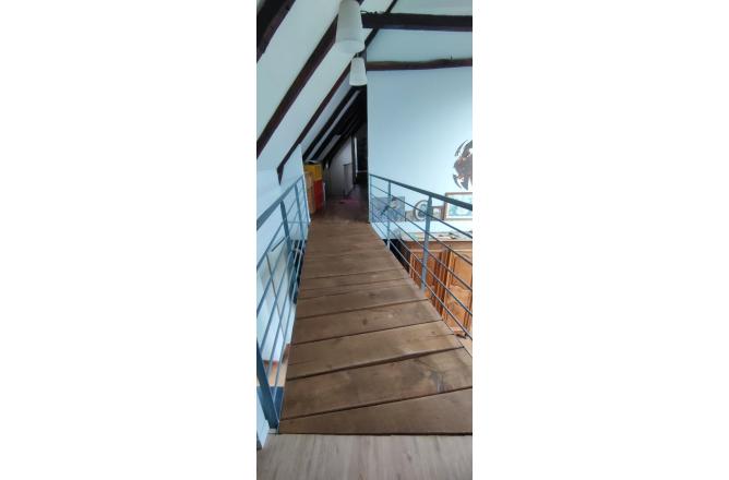 PROPRIETE SUR 3 HECTARES, BELLE RENOVATION - G