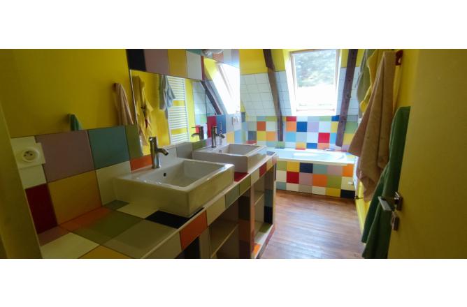 PROPRIETE SUR 3 HECTARES, BELLE RENOVATION - J