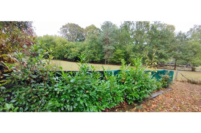 PROPRIETE SUR 3 HECTARES, BELLE RENOVATION - M