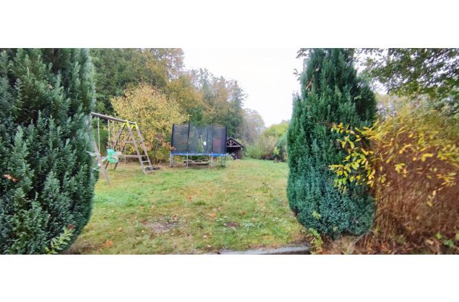 PROPRIETE SUR 3 HECTARES, BELLE RENOVATION - N