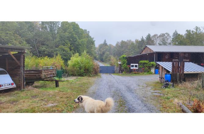 PROPRIETE SUR 3 HECTARES, BELLE RENOVATION - P