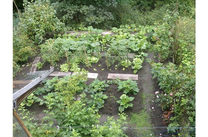 MAISON HABITABLE TROIS CHAMBRES , PETIT JARDIN ATTENANT . - I