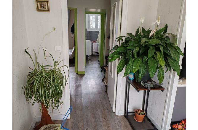PAVILLON DES ANNEES 1970 , RENOVATION RECENTE , TROIS CHAMBRES , SOUS SOL , TERRAIN DE 576 M² - F