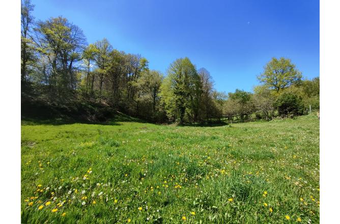 MAISON DANS UN ENVIRONNEMENT TRES CALME - C