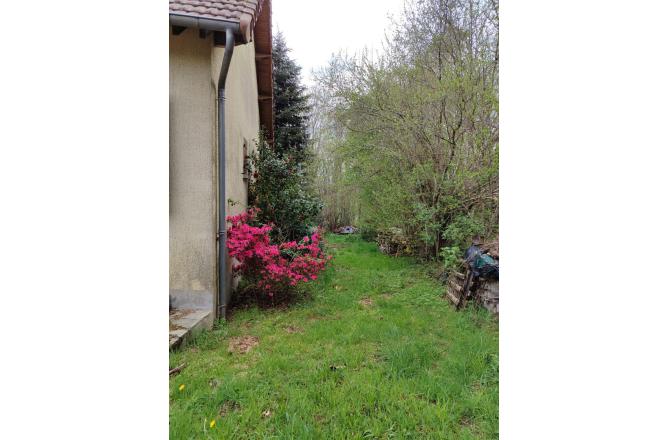 GRAND PAVILLON - JARDIN ATTENANT - I