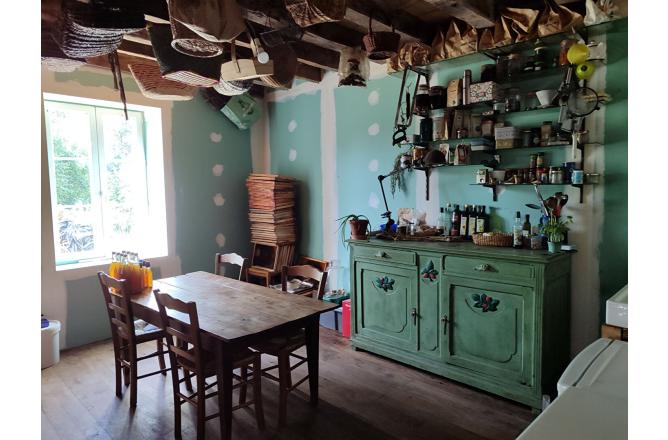 MAISON EN PIERRES ET GRAND TERRAIN - F