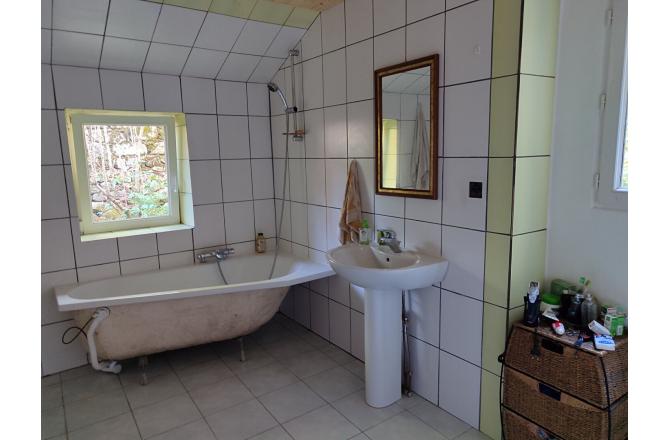 MAISON EN PIERRES ET GRAND TERRAIN - G