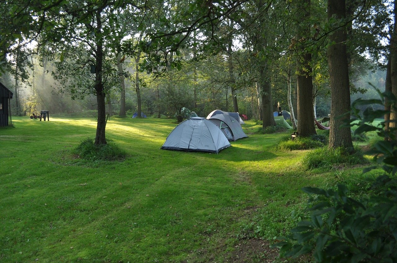 Location de biens immobiliers en Creuse